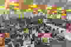 f8e15a67-6543-481b-b29b-16bb230b7cff