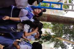 5fcba8ad-bb81-485a-aba8-2c7faf2dda22